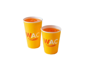 Go Juice 300ml